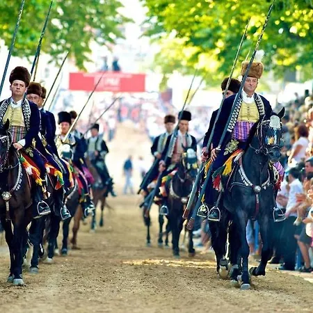 Batarelo Fully Air-conditioned Sinj